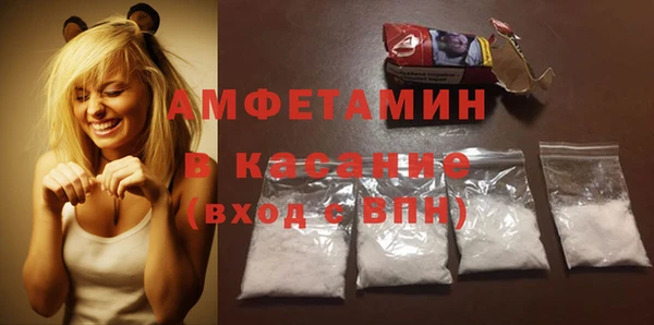 индика Каменногорск
