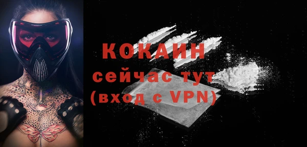 индика Касимов