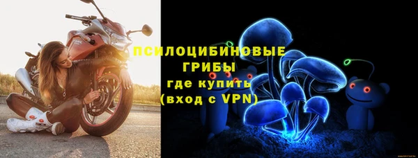 индика Каменногорск