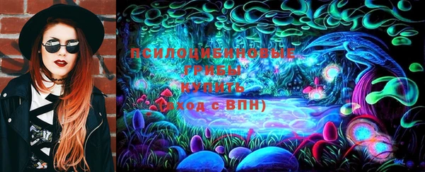 индика Каменногорск