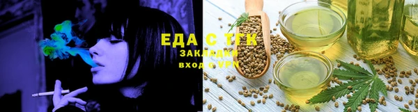 индика Касимов