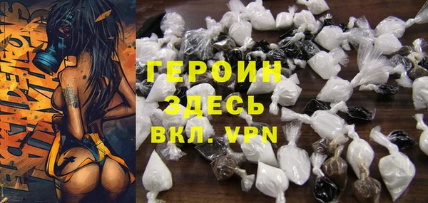 индика Каменногорск