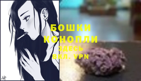 стаф Каменка