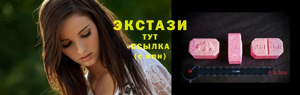 стаф Каменка