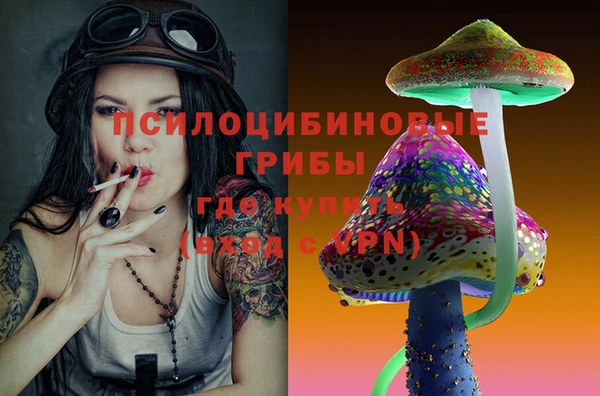 круглые Карталы