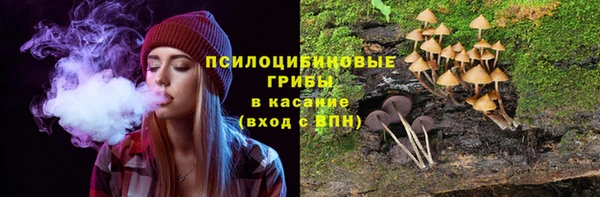 круглые Карталы