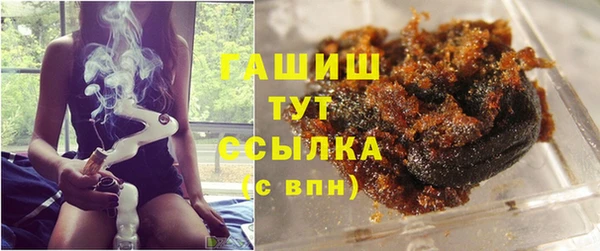 стаф Каменка