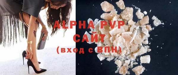 индика Касимов