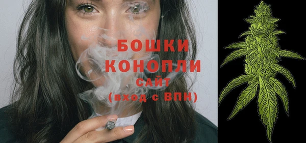 МДПВ Карпинск