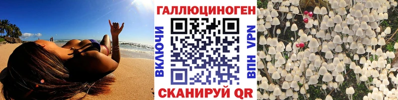 Галлюциногенные грибы мицелий  наркота  Лахденпохья 